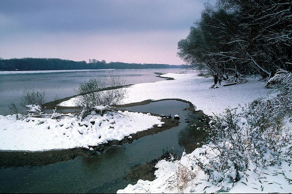 Landhotel Wachau Emmersdorf an der Donau Eksteriør billede